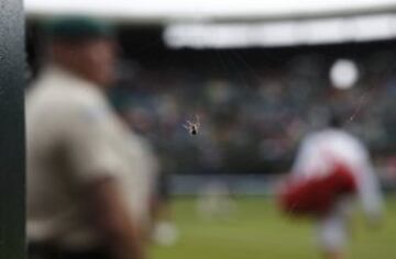 Una araña en una cámara  web antes del inicio del partido entre Grigor Dimitrov de Bulgaria y el francés Gilles Simon