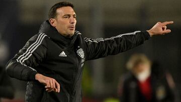 Argentina&#039;s coach Lionel Scaloni gestures during the South American qualification football match against Peru for the FIFA World Cup Qatar 2022, at the Monumental stadium in Buenos Aires, on October 14, 2021. (Photo by Juan Mabromata / AFP)