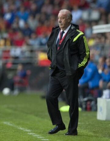 Vicente del Bosque.