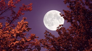 Luna de Nieve en febrero: Fecha, hora y dónde ver desde USA