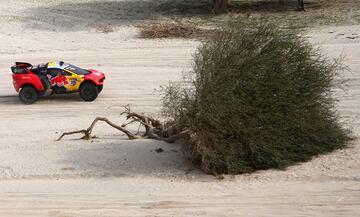 Sebastien Loeb y Fabian Lurquin.