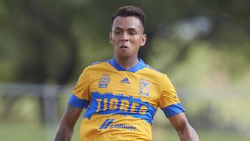 Ulises Cardona, nuevo positivo por COVID-19 en Tigres