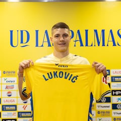 Lukovi: