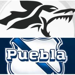 Puebla y Lobos Buap:los mejores equipos neófitos de la LMX Femenil
