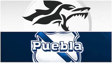 Puebla y Lobos Buap:los mejores equipos neófitos de la LMX Femenil