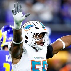 Dolphins 23 vs 15 Rams summary, stats, scores and highlights | NFL Week 10
