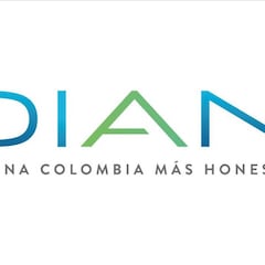 Deudores de la DIAN: ¿qué dice la ley 2010 de 2019 y qué beneficios supone?