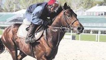 <b>EL PROTAGONISTA. </b>Los caballos ya han tomado las pistas de La Zarzuela. Detrás se aprecian las nuevas gradas portátiles, con asientos de color verde.
