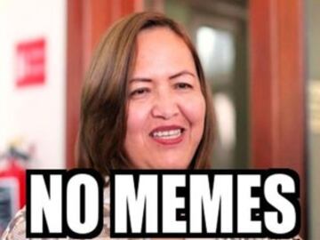 #LadyMemes Diputada mexicana propone ley anti memes