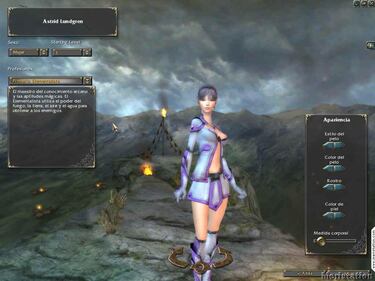 Guild Wars, Impresiones