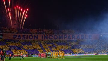 Panorámica del estadio Universitario