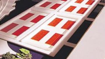 <b>ESPACIO. </b>El complejo albergará hasta 24 pistas de tenis.