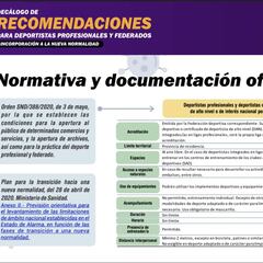 El CSD hará reuniones técnicas para resolver los problemas del despliegue del deporte