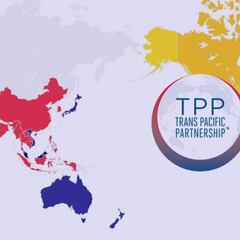 TPP-11: qué es y cuándo sería votado en el Senado