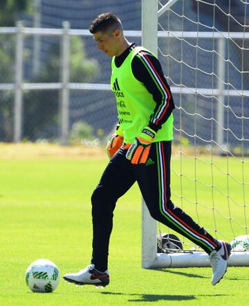 Palacios fue convocado para tres duelos diferentes frente a Senegal y dos contra Canadá en 2016 bajo Juan Carlos Osorio, sin embargo, nunca entró al campo.