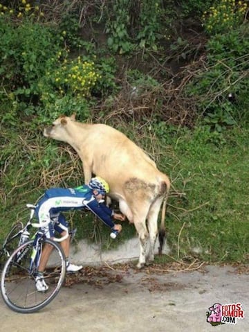 Ciclismo: los mejores memes en las redes sociales e internet