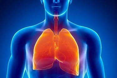 ¿Qué es una Trombosis pulmonar? La afección que provocó la muerte de Elena Larrea