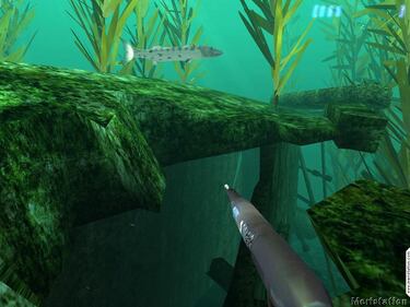 Conviértete en submarinista gracias a Diver