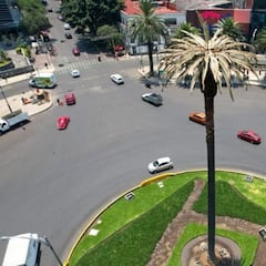 Artistas intervienen a “La Palma de Reforma” para devolverla a la ciudadanía