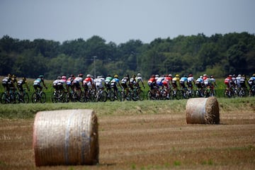 El pelotn durante la 18? etapa del Tour.