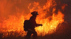 Get out now: New wildfire in Los Angeles prompts evacuation orders