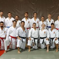 La Selección viaja a Linz por
siete medallas en el Mundial