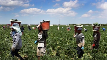 Cada año, una gran cantidad de migrantes llegan a Estados Unidos a buscar empleo. Te compartimos Los trabajos que más contratan a inmigrantes en USA.