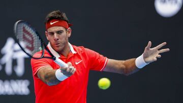 Fognini se retira; Del Potro jugará la final con Basilashvili