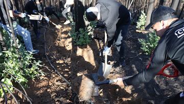 Plantel de Huachipato acude en ayuda de damnificados