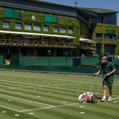 Wimbledon mantiene la burbuja y reduce los premios un 5%