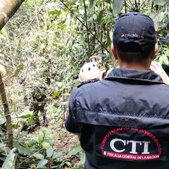 Muerte de María Paula Munévar: qué se sabe del caso y últimas noticias