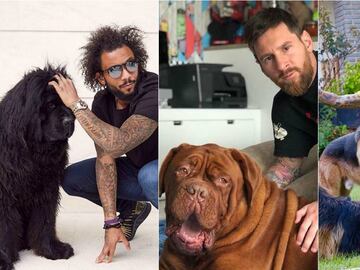 Te presentamos a algunos futbolistas y sus perros. Messi, Cristiano, Neymar, Griezmann, los hermanos Dos Santos y otros jugadores que comparten el amor de un canino.