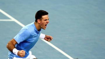 Juan Martin del Potro celebra su triunfo.