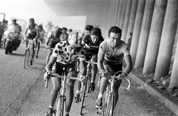 Ese mismo año, en 1987, volvió a ganar la camiseta de líder de la montaña del Tour de Francia.