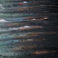 Paltrinieri recupera el cofre del oro en la isla Ada Ciganlica