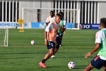 La Selección Colombia continúa trabajando en la sede de la Federación Colombiana de Fútbol en Barranquilla bajo el mando del técnico Reinaldo Rueda. Tras la atención a la prensa, el grupo conformado por jugadores del FPC hizo trabajo en espacio reducido, fútbol y trabajo de arqueros.