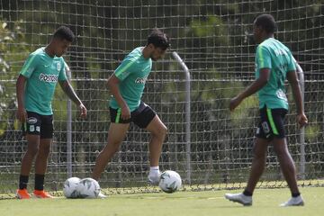 Así fue el entrenamiento de Atlético Nacional pensando en la primera fecha de cuadrangulares ante Cúcuta Deportivo en el Atanasio Girardot el sábado 9 de noviembre.