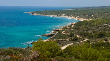 
Se ubica dentro del Parque Natural de la Sierra de Irta, por lo que no está tan masificada. Es una playa virgen de arena fina y aguas cristalinas, rodeada de vegetación autóctona y sin urbanización cercana. Su carácter salvaje y tranquilo la convierte en un refugio ideal para quienes buscan desconexión y contacto directo con la naturaleza.   

