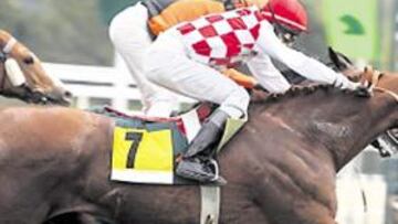 <b>¡QUÉ LLEGADA! </b>Al Pauli, por fuera, llegó a cazar al puntero New Sadlers en el último tranco.