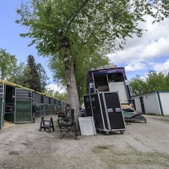 Caballos a cuerpo de rey para el concurso de saltos de Madrid