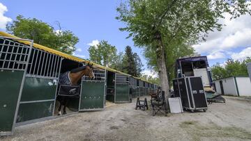 Caballos a cuerpo de rey para el concurso de saltos de Madrid