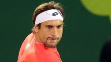 Ferrer, en semis, se medirá a Karlovic, que tumbó a Djokovic