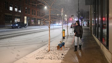 El clima invernal severo continúa en Estados Unidos. Te explicamos cómo puedes proteger a tus mascotas en una tormenta de nieve.