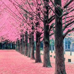 ¿Dónde ir de vacaciones este invierno? Los tours más irresistibles