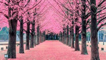 ¿Dónde ir de vacaciones este invierno? Los tours más irresistibles