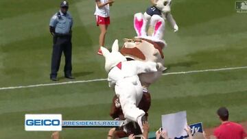 El tackle despiadado a una mascota: ?no pudo ni levantarse!