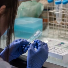 Qué es el adenovirus 41, el posible responsable de la hepatitis aguda en niños