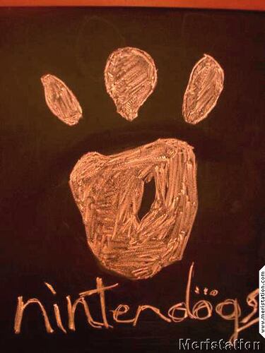 Guau!! Con ustedes Nintendogs!