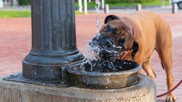 A heat dome is affecting parts of the East Coast and Midwest, leading to record-breaking temperatures just as summer gets underway.