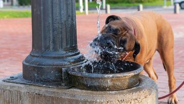 A heat dome is affecting parts of the East Coast and Midwest, leading to record-breaking temperatures just as summer gets underway.
